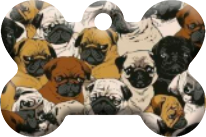 Perros_07
